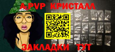 спиды Канаш