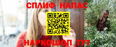 СК Камышлов